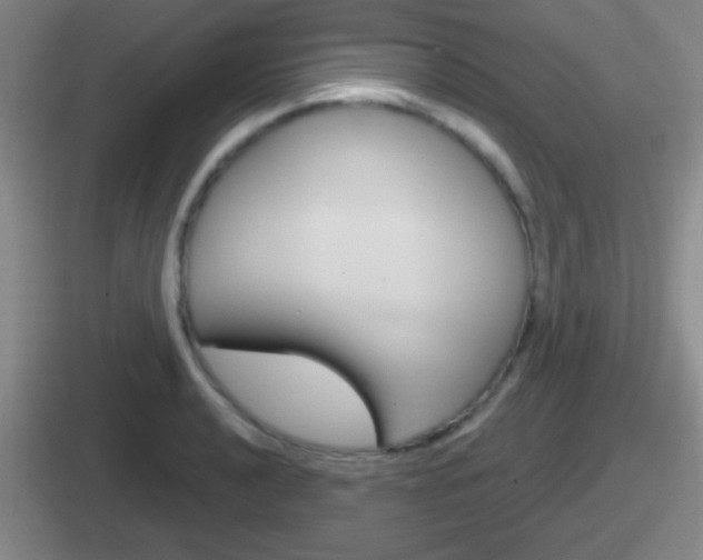 X0000112071040201007221003