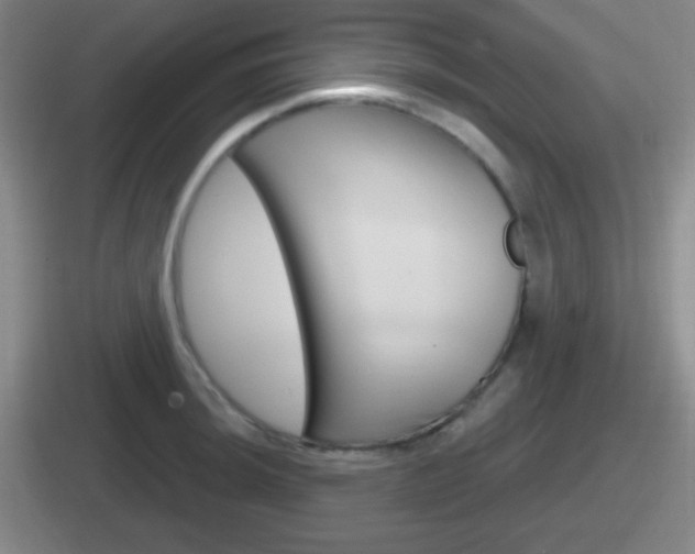 X0000112071044201007221003