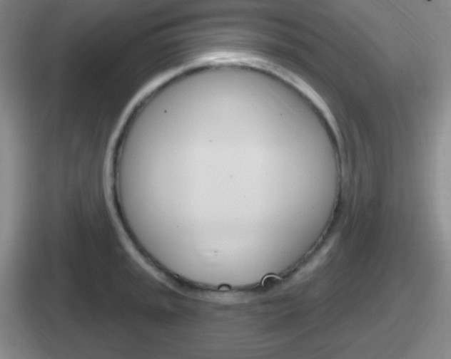 X0000112071045201007221003