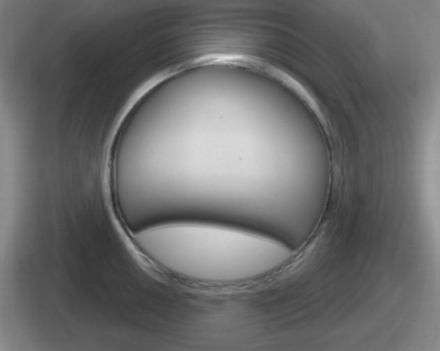 X0000112071050201007221003