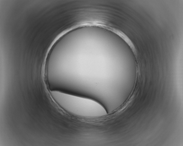 X0000112071052201007221003