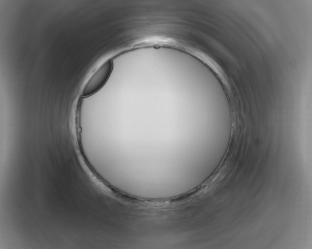 X0000112071055201007221003