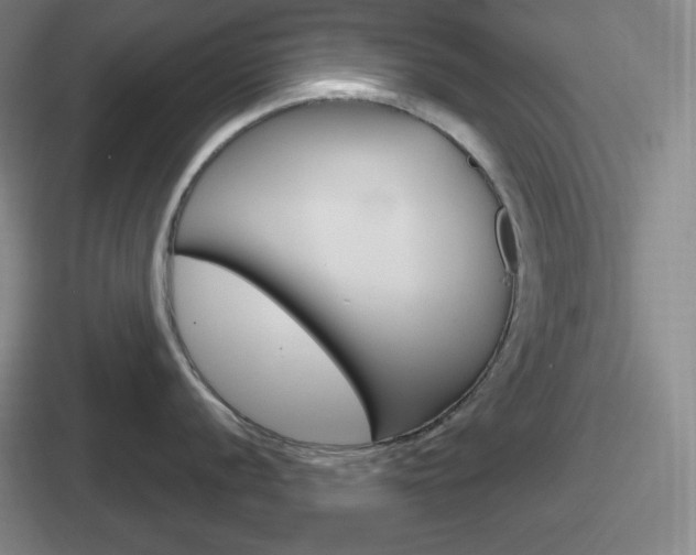 X0000112071056201007221003