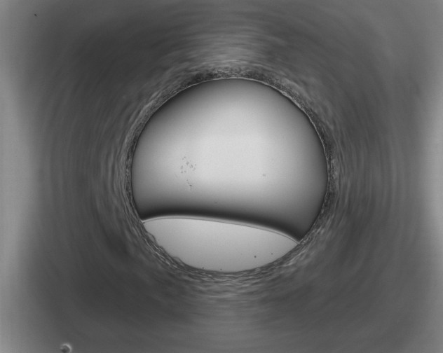 X0000112071057201007221002