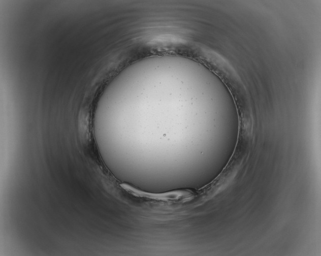 X0000112071060201007221002