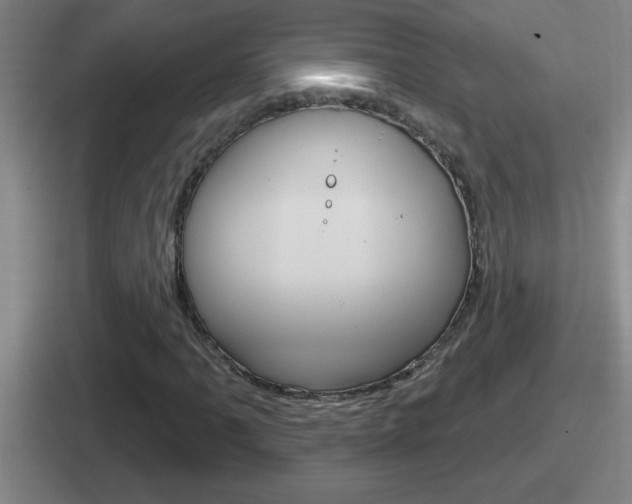 X0000112071061201007221002