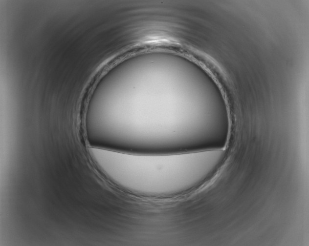 X0000112071065201007221002