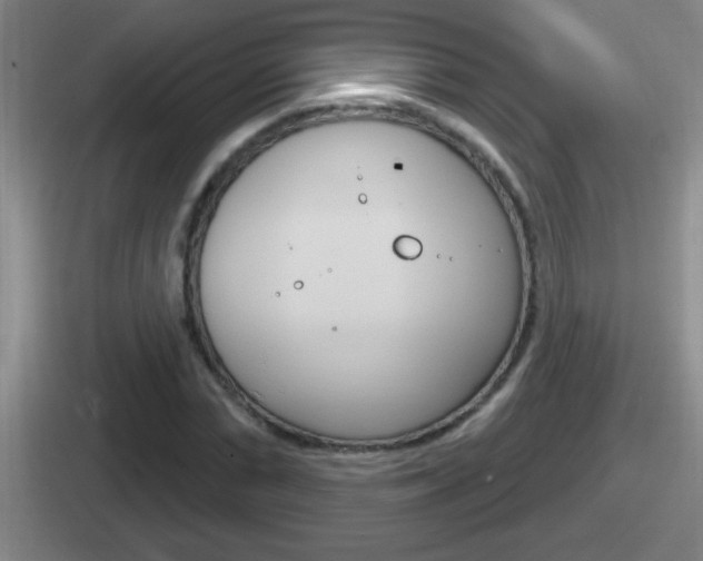 X0000112071066201007221002