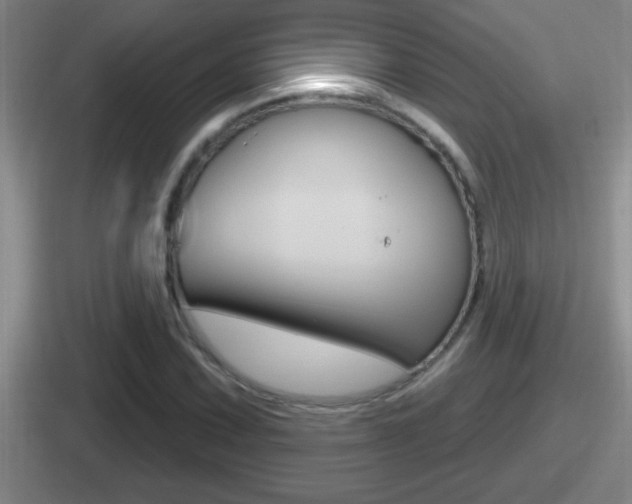 X0000112071067201007221002