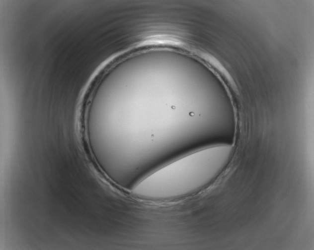 X0000112071068201007221002