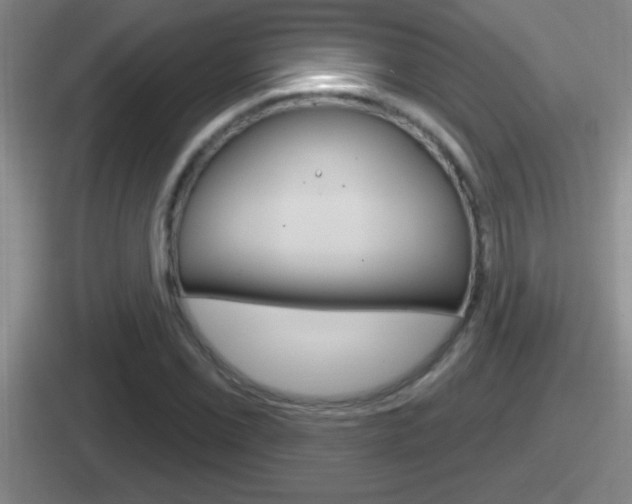 X0000112071069201007221002