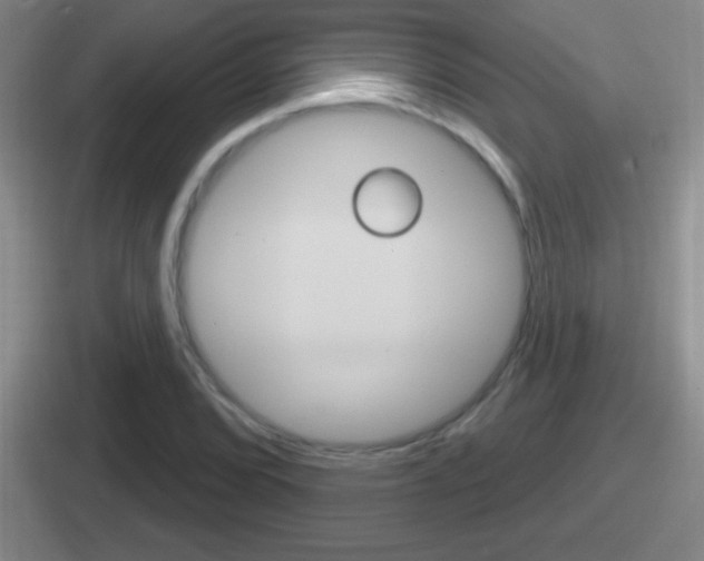 X0000112071072201007221002