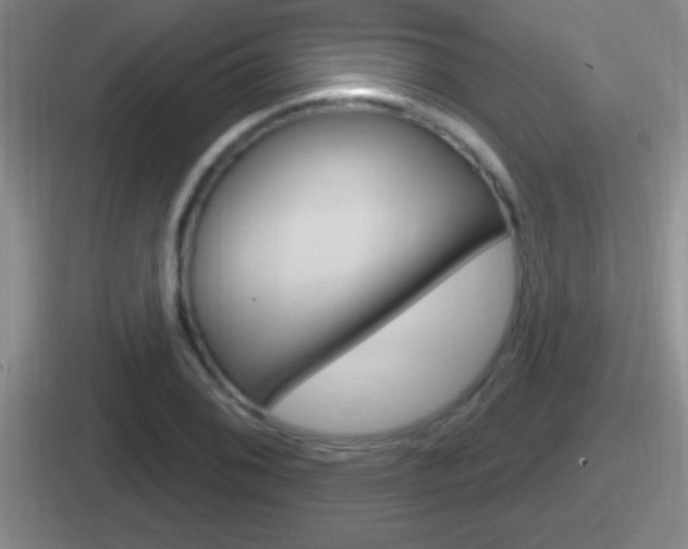 X0000112071076201007221002