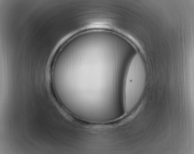 X0000112071077201007221002