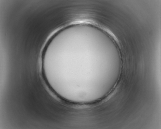 X0000112071079201007221002