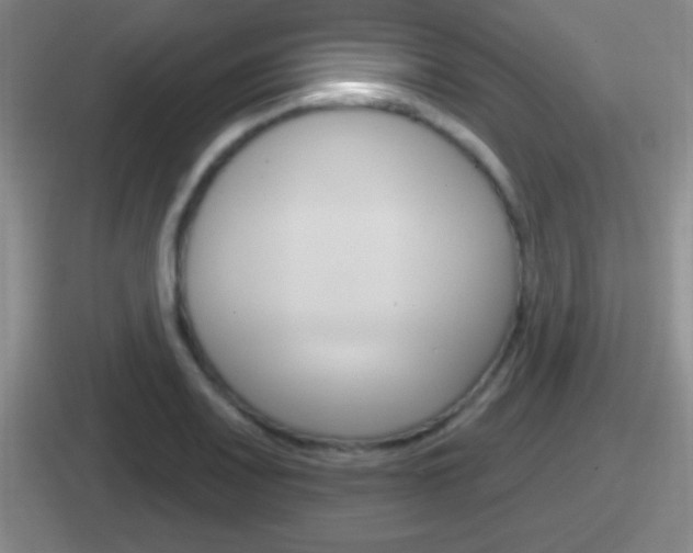 X0000112071083201007221002