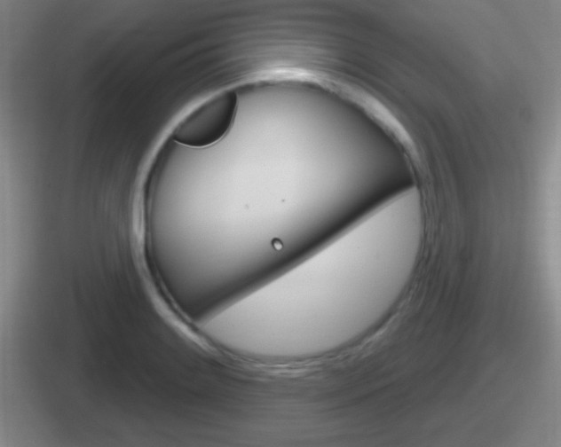 X0000112071084201007221002
