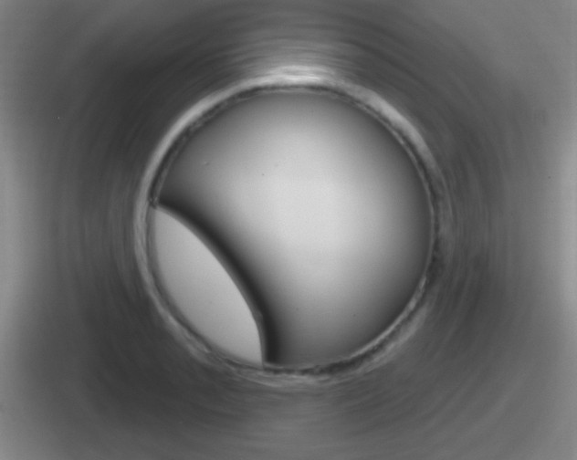 X0000112071085201007221002