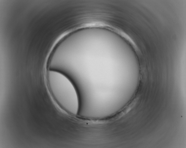 X0000112071087201007221002