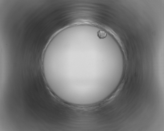X0000112071089201007221002
