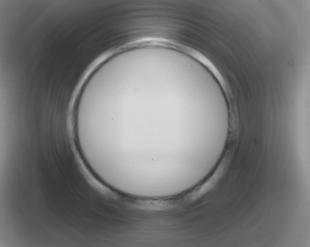 X0000112071090201007221002