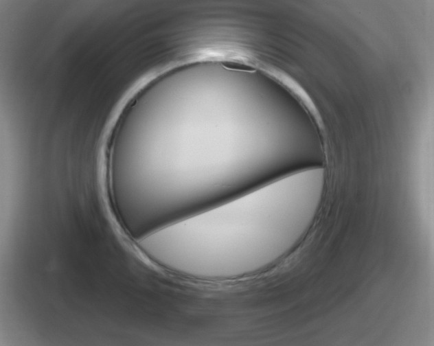 X0000112071096201007221002