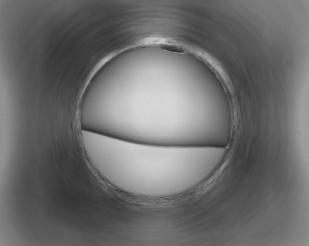 X0000112071097201007221002