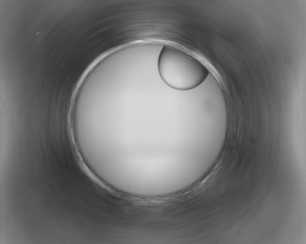 X0000112071100201007221002
