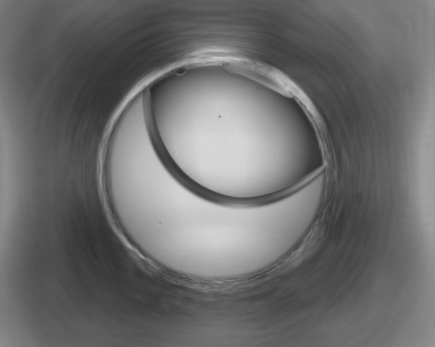 X0000112071101201007221002