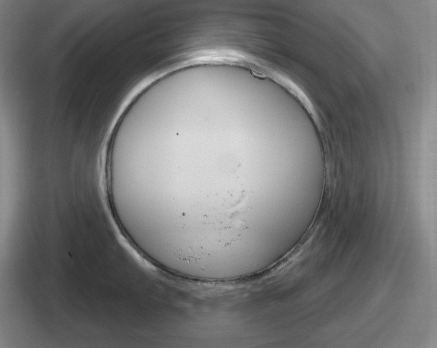 X0000112071103201007221002