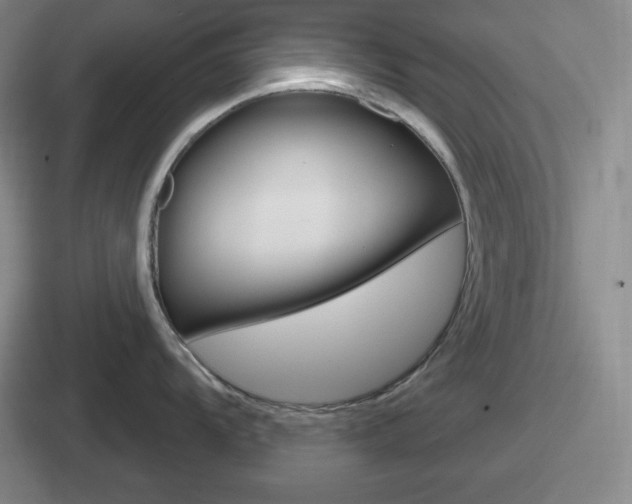 X0000112071104201007221002