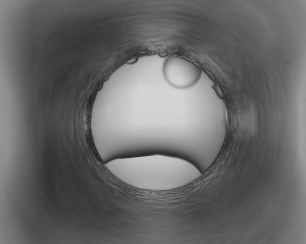 X0000112071106201007221001