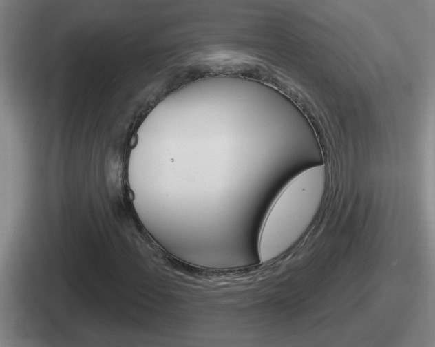 X0000112071108201007221001
