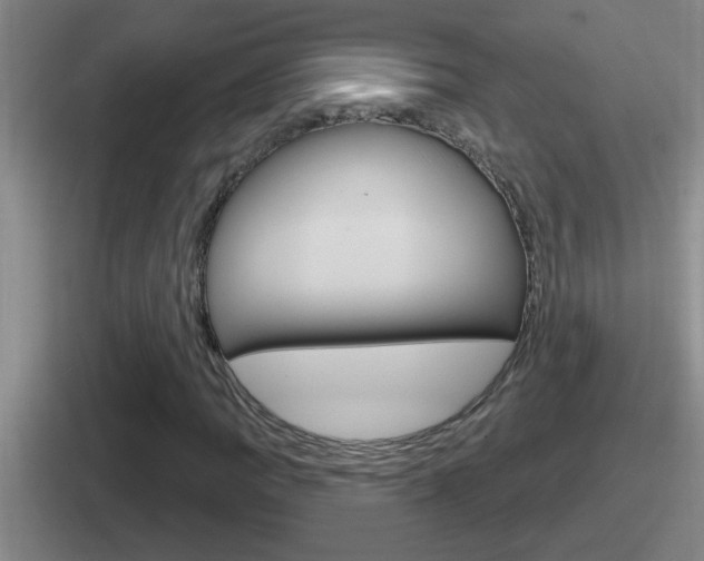X0000112071109201007221001