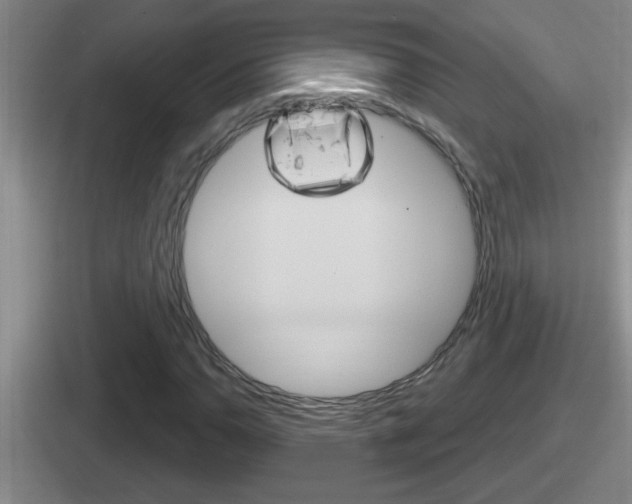 X0000112071110201007221001