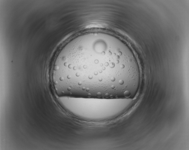 X0000112071113201007221001