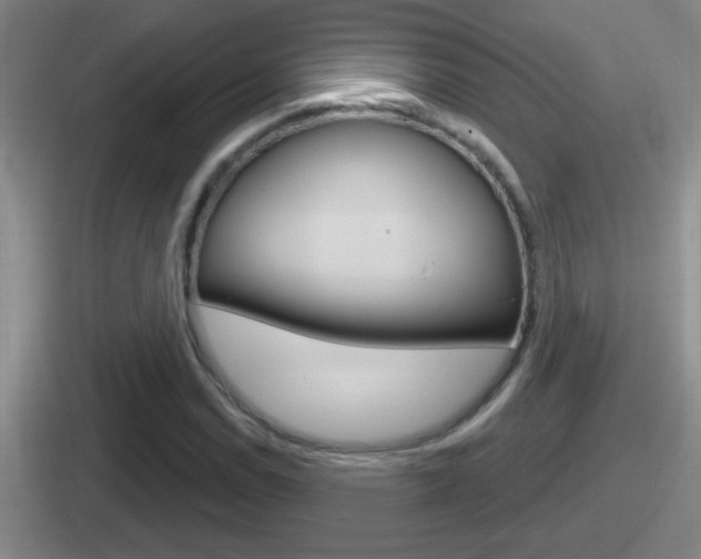 X0000112071114201007221001