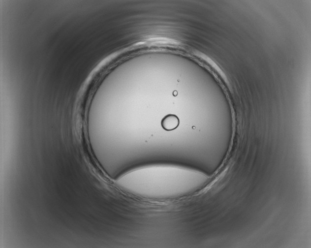 X0000112071115201007221001