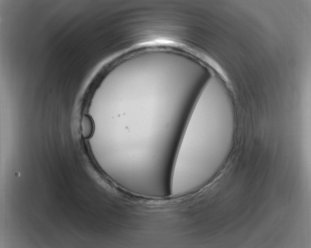 X0000112071116201007221001