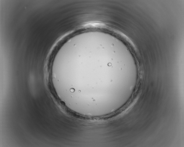 X0000112071117201007221001