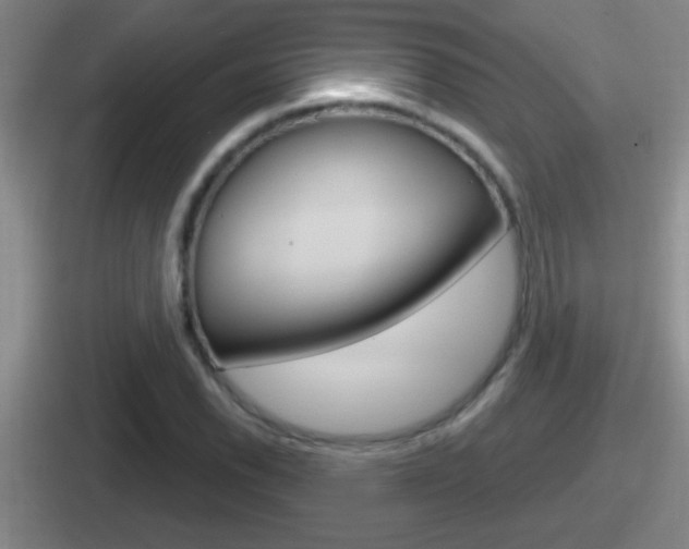 X0000112071118201007221001