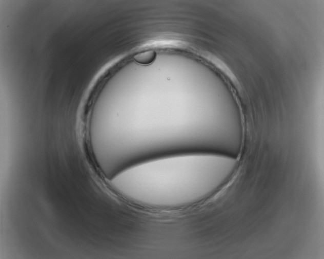 X0000112071119201007221001