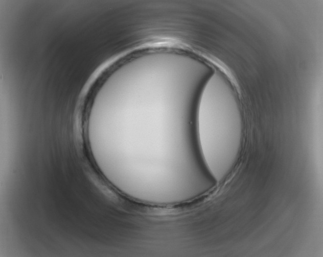 X0000112071120201007221001