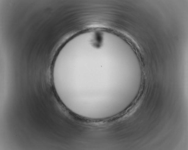 X0000112071121201007221001