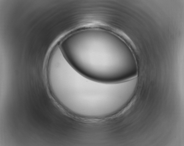 X0000112071122201007221001