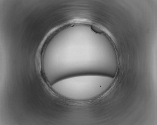 X0000112071123201007221001