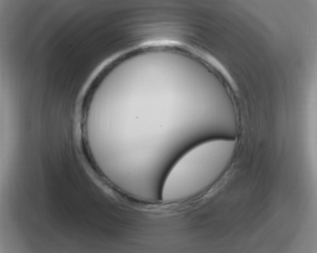 X0000112071124201007221001