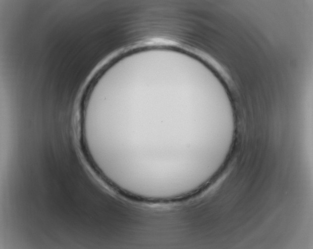X0000112071126201007221001