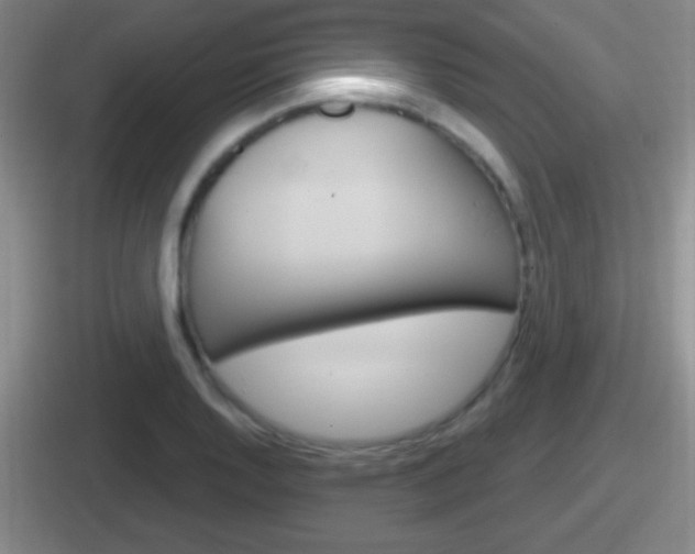 X0000112071128201007221001