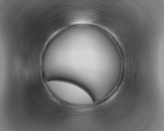 X0000112071129201007221001